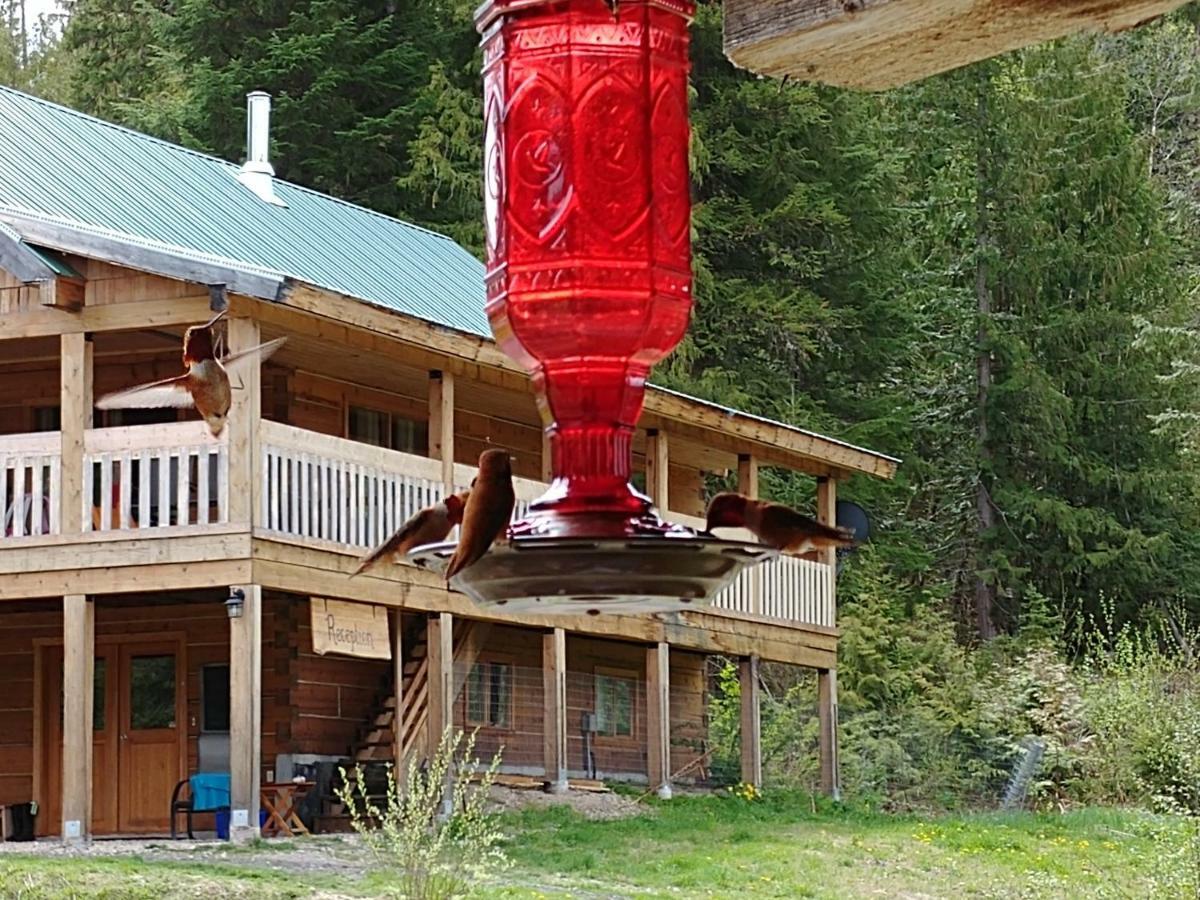 Villa Wolfwood Guest Ranch Clearwater Exterior foto